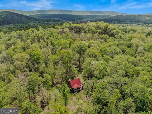 82 Vista River Ln, Paw Paw, WV 25434 - birds eye view of property with a wooded view and a mountain view