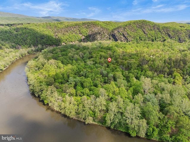82 Vista River Ln, Paw Paw, WV 25434 - drone / aerial view featuring a water view and a view of trees