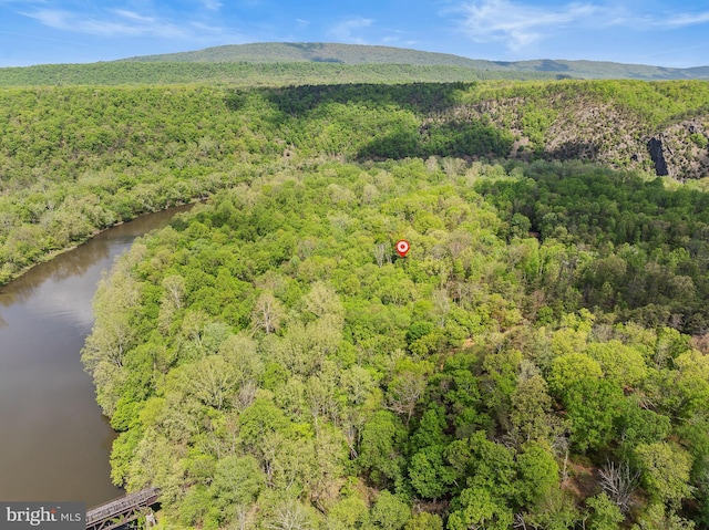 82 Vista River Ln, Paw Paw, WV 25434 - drone / aerial view featuring a water view and a forest view
