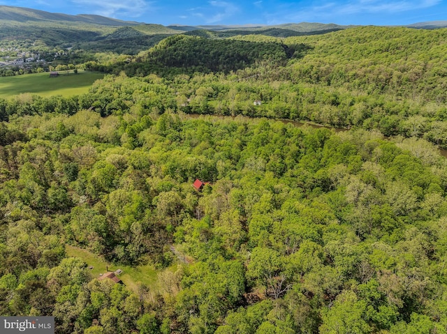 82 Vista River Ln, Paw Paw, WV 25434 - aerial view featuring a wooded view and a mountain view