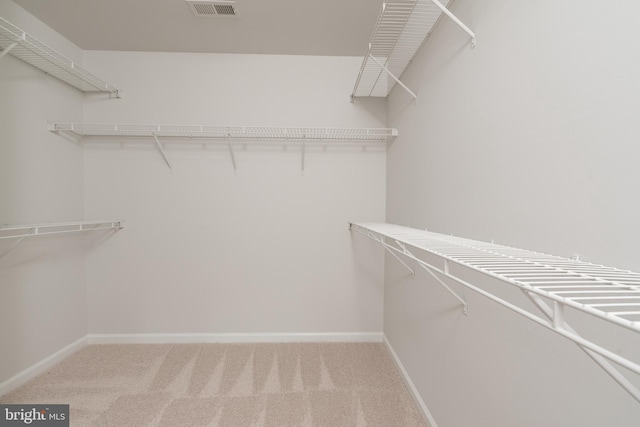 spacious closet with light carpet