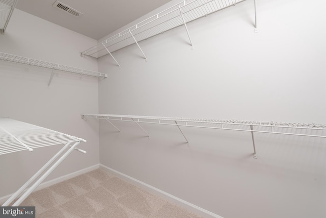 spacious closet with carpet flooring