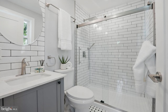 full bathroom featuring vanity, a stall shower, and toilet