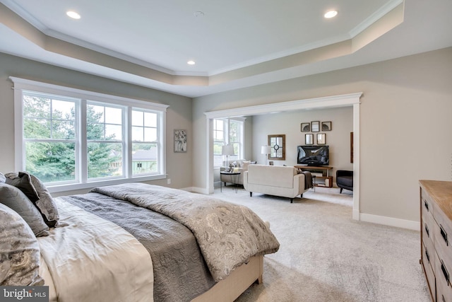 3919 Pineland St, Fairfax, VA 22031 - bedroom featuring baseboards, a tray ceiling, recessed lighting, and light colored carpet