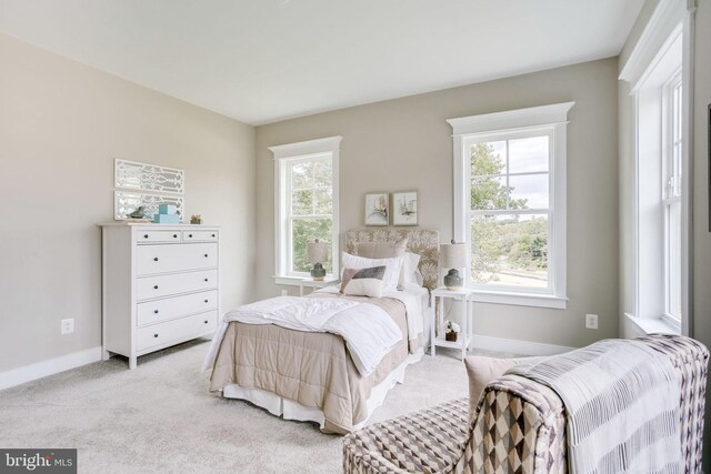 3919 Pineland St, Fairfax, VA 22031 - bedroom featuring baseboards, multiple windows, and carpet