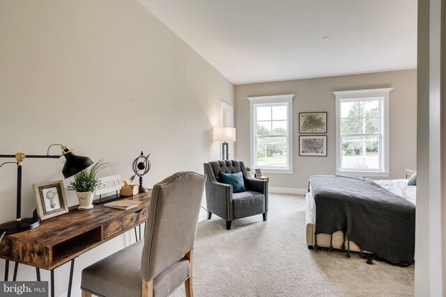 3919 Pineland St, Fairfax, VA 22031 - bedroom featuring baseboards and light carpet