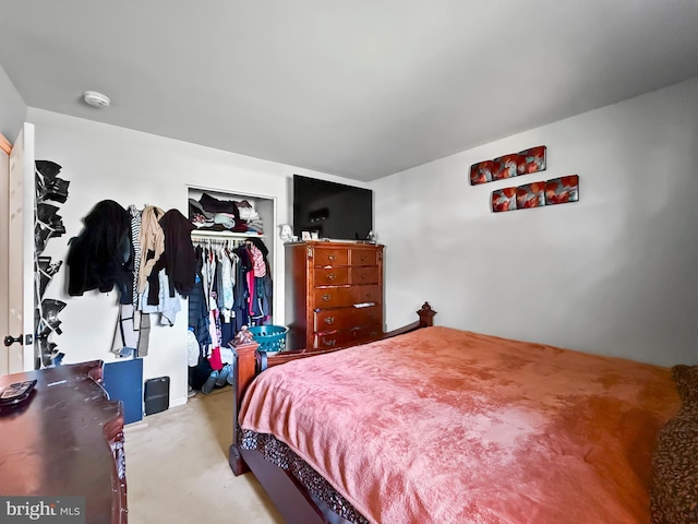 carpeted bedroom featuring a closet
