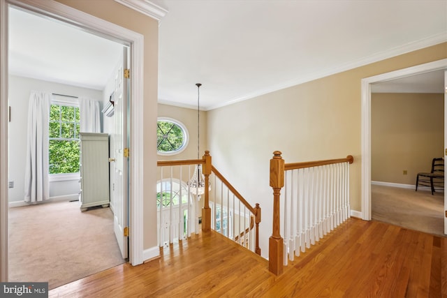 hallway with baseboards, plenty of natural light, wood finished floors, and an upstairs landing
