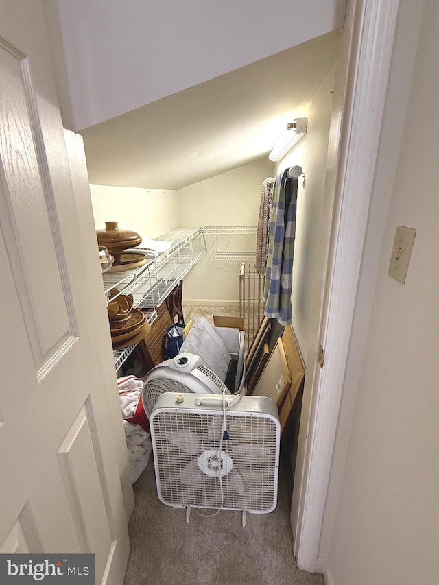 902 Hedgewyck Ln, Elizabethtown, PA 17022 - spacious closet with carpet floors