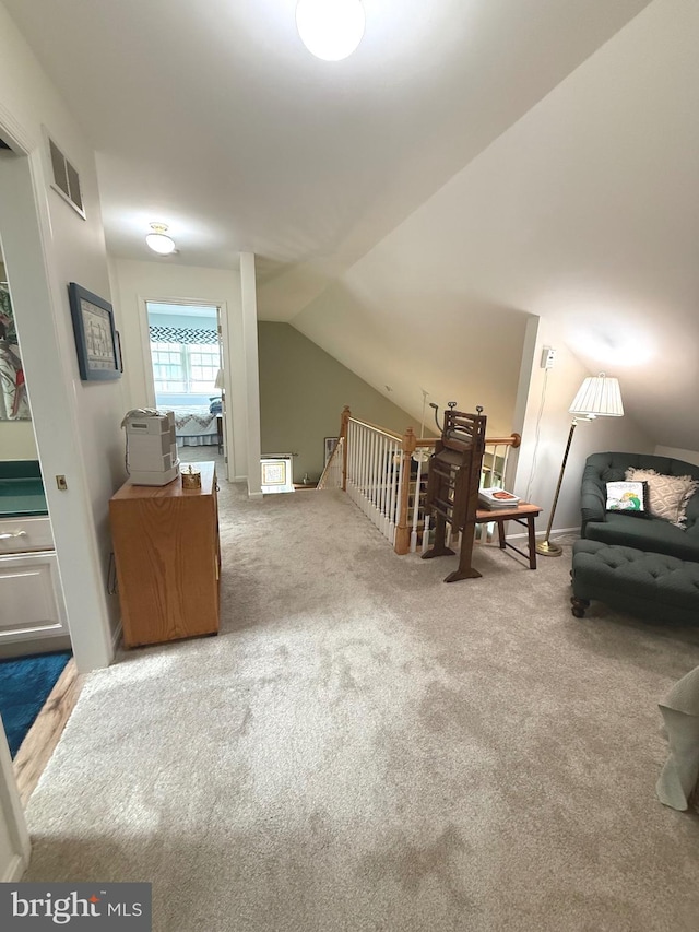902 Hedgewyck Ln, Elizabethtown, PA 17022 - bonus room featuring carpet and lofted ceiling