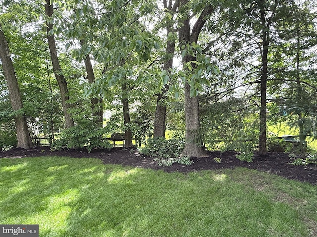 902 Hedgewyck Ln, Elizabethtown, PA 17022 - view of grassy yard