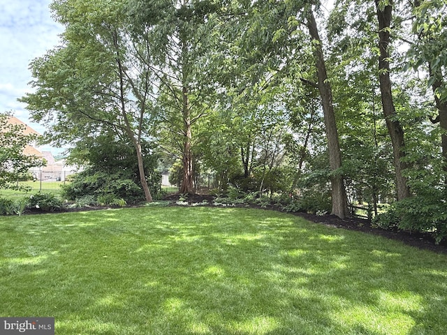 902 Hedgewyck Ln, Elizabethtown, PA 17022 - view of yard