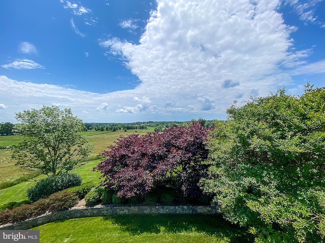 19326 Airwell Ct, Purcellville, VA 20132 - view of landscape