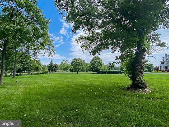 19326 Airwell Ct, Purcellville, VA 20132 - view of yard