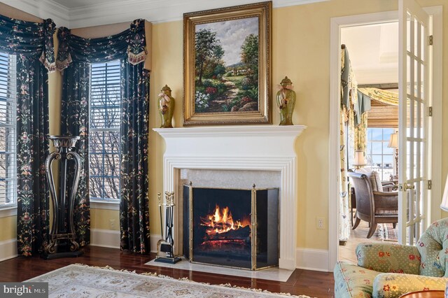 19326 Airwell Ct, Purcellville, VA 20132 - living area featuring ornamental molding, a wealth of natural light, and wood finished floors