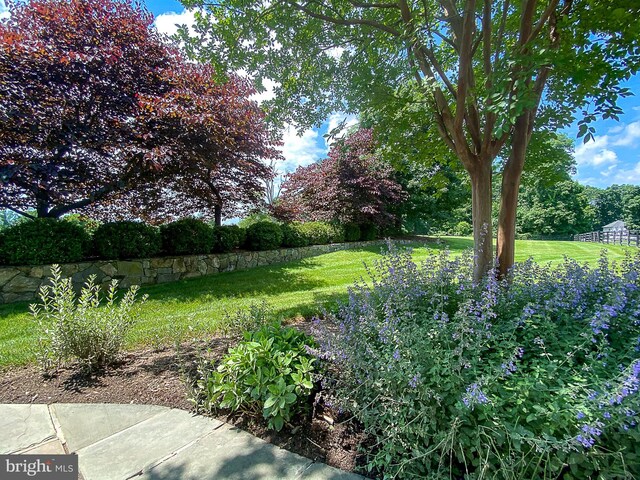 19326 Airwell Ct, Purcellville, VA 20132 - view of yard
