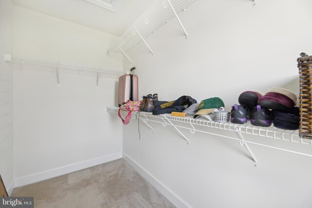 10723 Caledonia Meadow Dr, Manassas, VA 20112 - walk in closet with light colored carpet