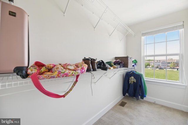 10723 Caledonia Meadow Dr, Manassas, VA 20112 - walk in closet with light colored carpet