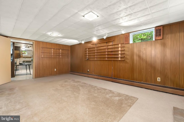 basement featuring rail lighting, wood walls, and carpet flooring