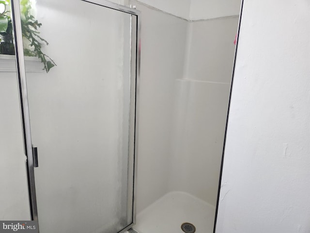 5737 N Park Ave, Philadelphia, PA 19141 - bathroom featuring a shower stall
