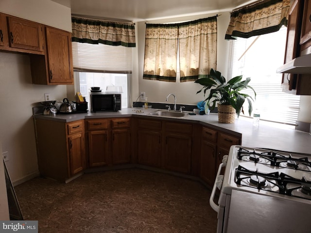 5737 N Park Ave, Philadelphia, PA 19141 - kitchen featuring under cabinet range hood, a sink, black microwave, white gas stove, and brown cabinets
