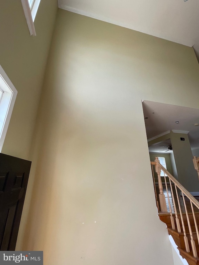 stairs with ornamental molding