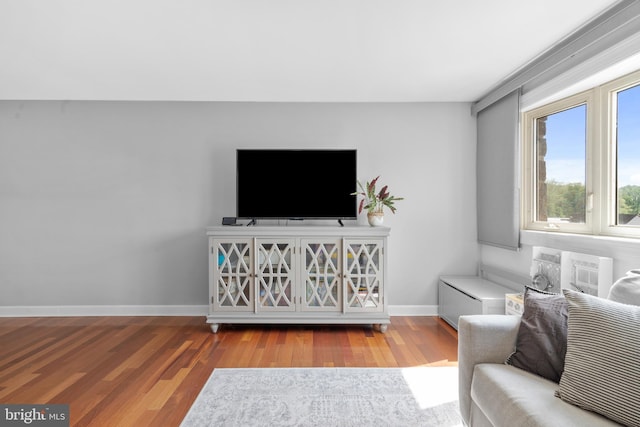 living room with baseboards and wood finished floors