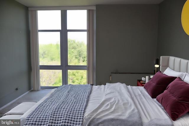 bedroom featuring baseboards and carpet flooring