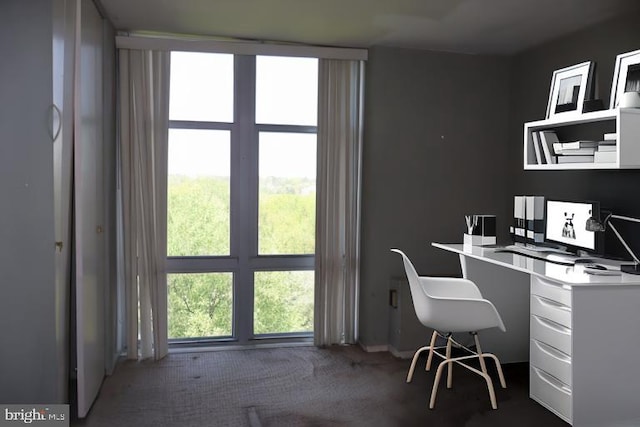 home office with carpet floors