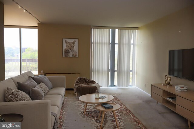 living area with carpet floors, a wall of windows, and track lighting