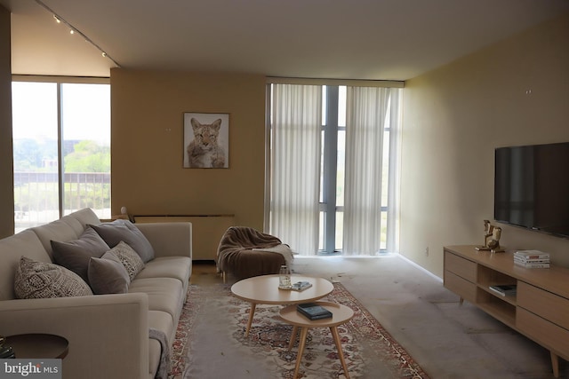 3600 Conshohocken Ave Unit 1004, Philadelphia, PA 19131 - living area with carpet floors, a wall of windows, and track lighting