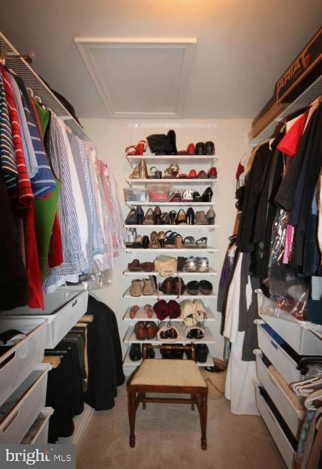 view of walk in closet