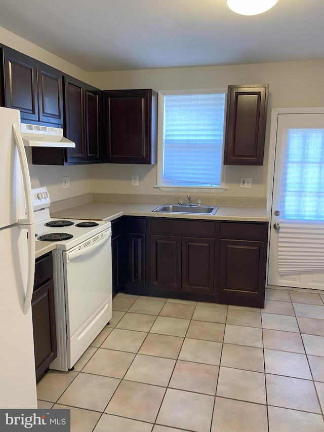 kitchen with a sink, plenty of natural light, under cabinet range hood, and white appliances