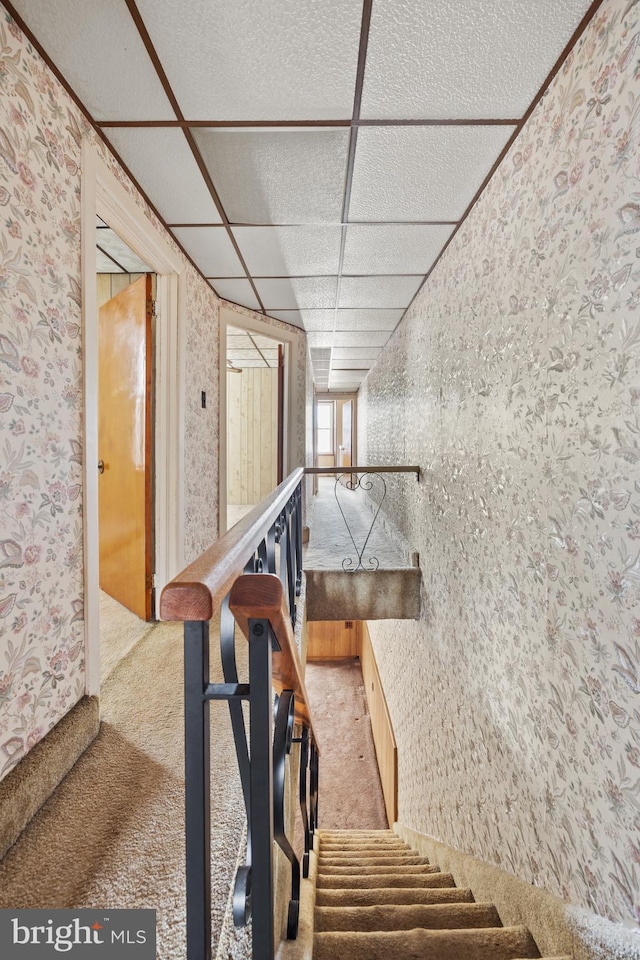 staircase featuring carpet flooring, wallpapered walls, and a paneled ceiling