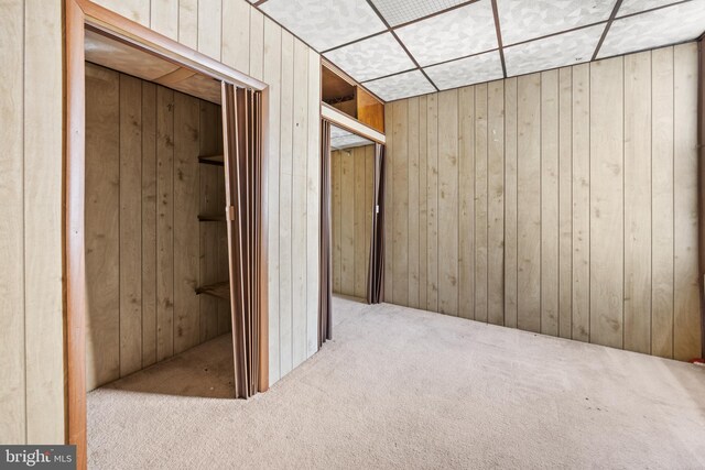 interior space with carpet floors and wood walls