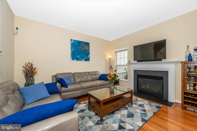 living room featuring wood finished floors and a fireplace with flush hearth