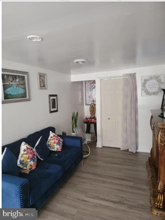 living room featuring wood finished floors