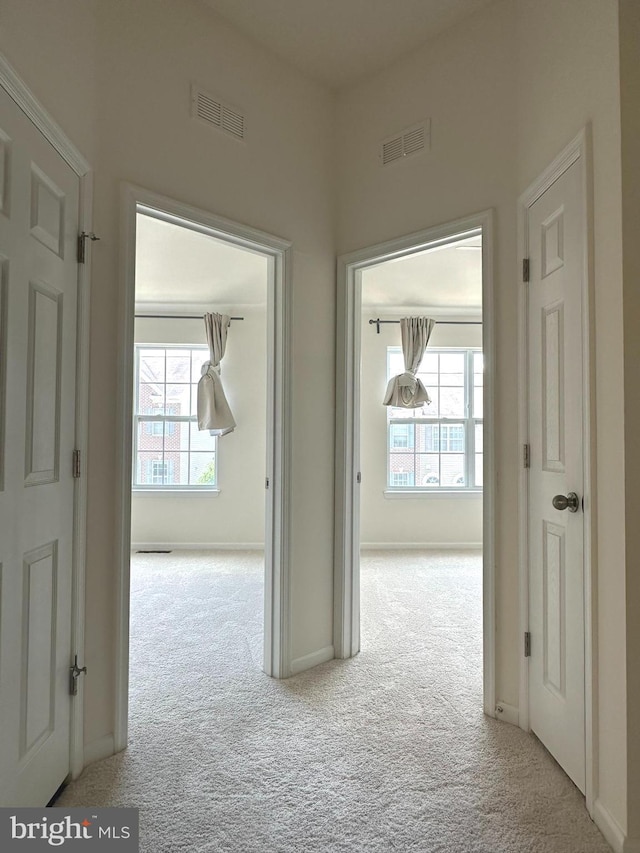 hall with carpet, healthy amount of natural light, and baseboards