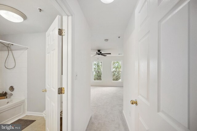 24764 Stone Station Ter, Aldie, VA 20105 - corridor with baseboards