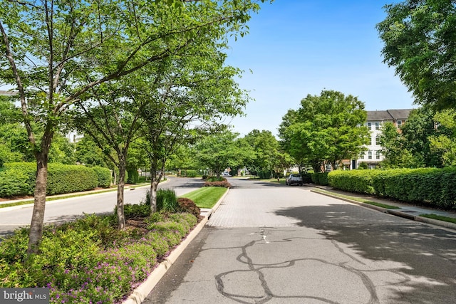 24764 Stone Station Ter, Aldie, VA 20105 - view of asphalt road with curbs and sidewalks