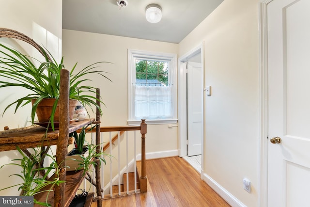 interior space with baseboards and light wood-type flooring