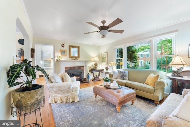 living room featuring ornamental molding, wood finished floors, ceiling fan, and arched walkways