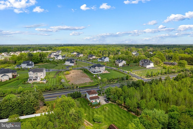 drone / aerial view