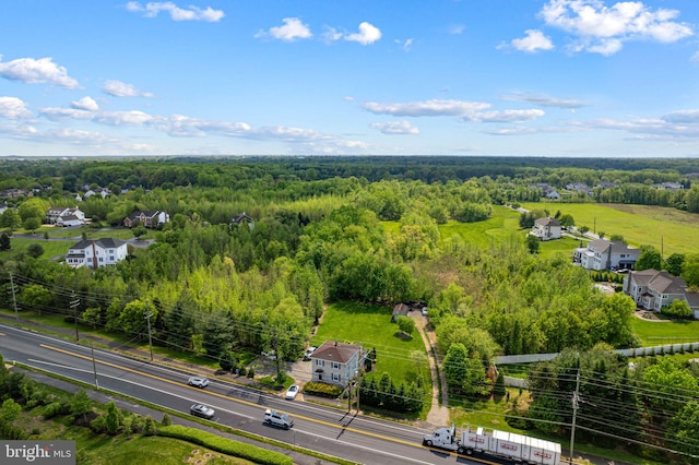 bird's eye view with a view of trees