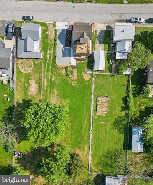 bird's eye view