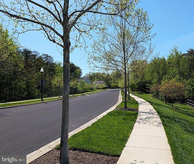 view of street featuring street lights, sidewalks, and curbs
