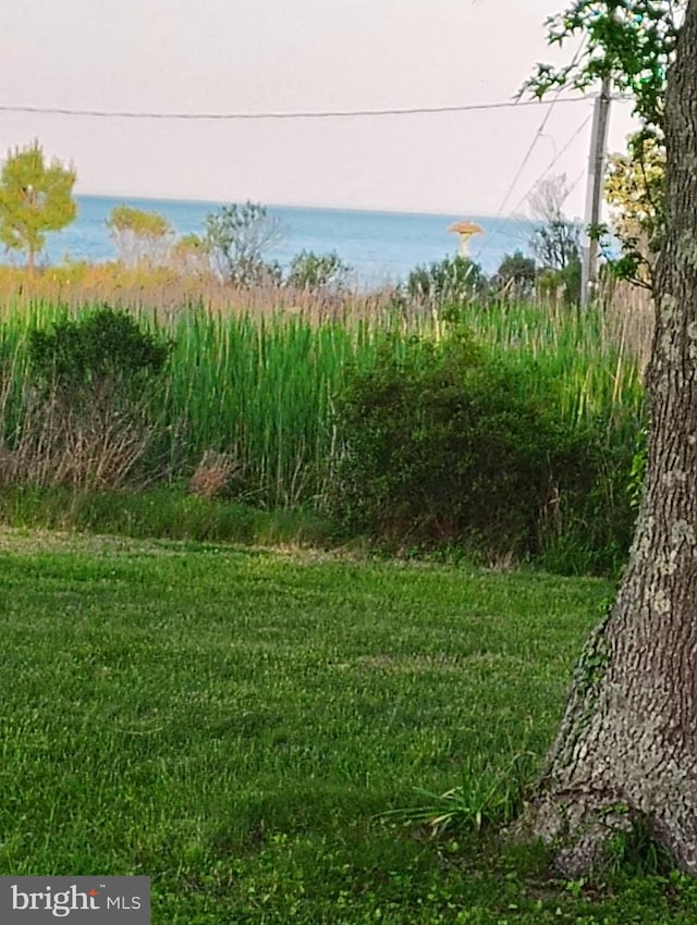 view of yard featuring a water view