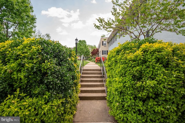 1705 N Cliff St, Alexandria, VA 22301 - view of community with stairs