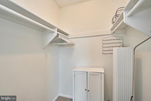 spacious closet with carpet floors