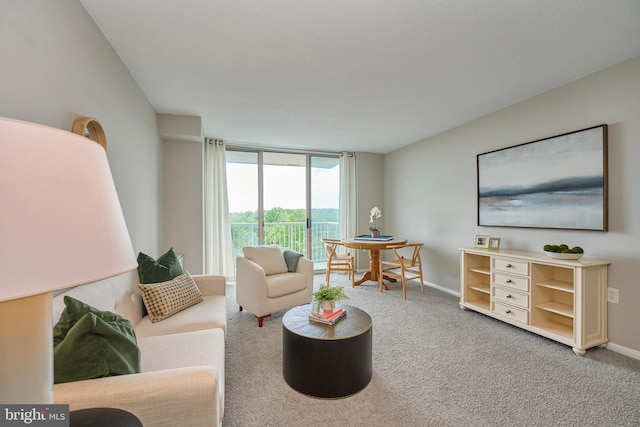 living area with carpet flooring, baseboards, and floor to ceiling windows